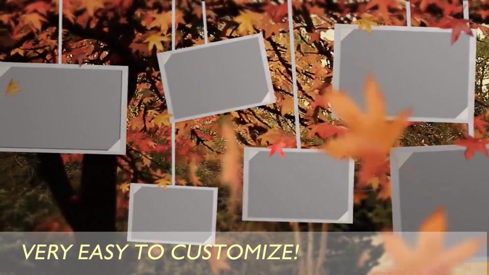 Photo Gallery on an Autumn Afternoon Videohive 8689516 After Effects Image 12