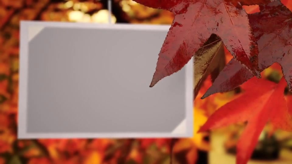 Photo Gallery on an Autumn Afternoon Videohive 8689516 After Effects Image 13