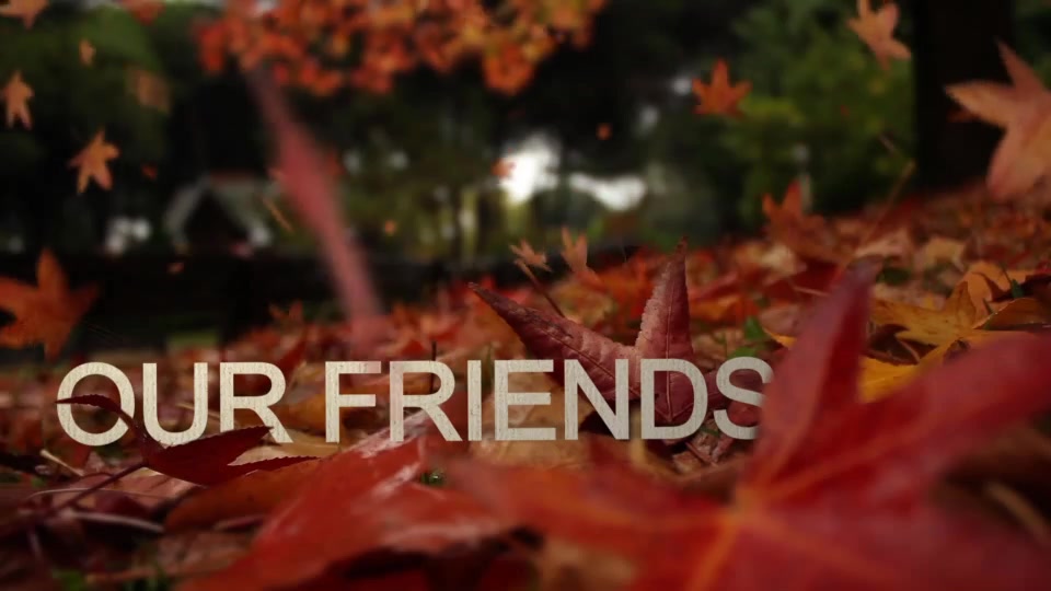 Photo Gallery on an Autumn Afternoon Videohive 8689516 After Effects Image 6