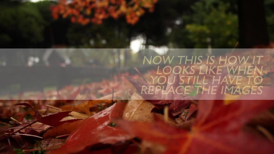 Photo Gallery on an Autumn Afternoon Videohive 8689516 After Effects Image 9