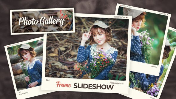 Photo Gallery Slideshow - Download Videohive 25826010