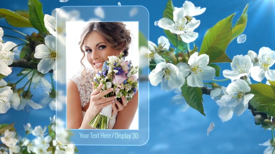 Photo Gallery Spring Blossoms - Download Videohive 11171173