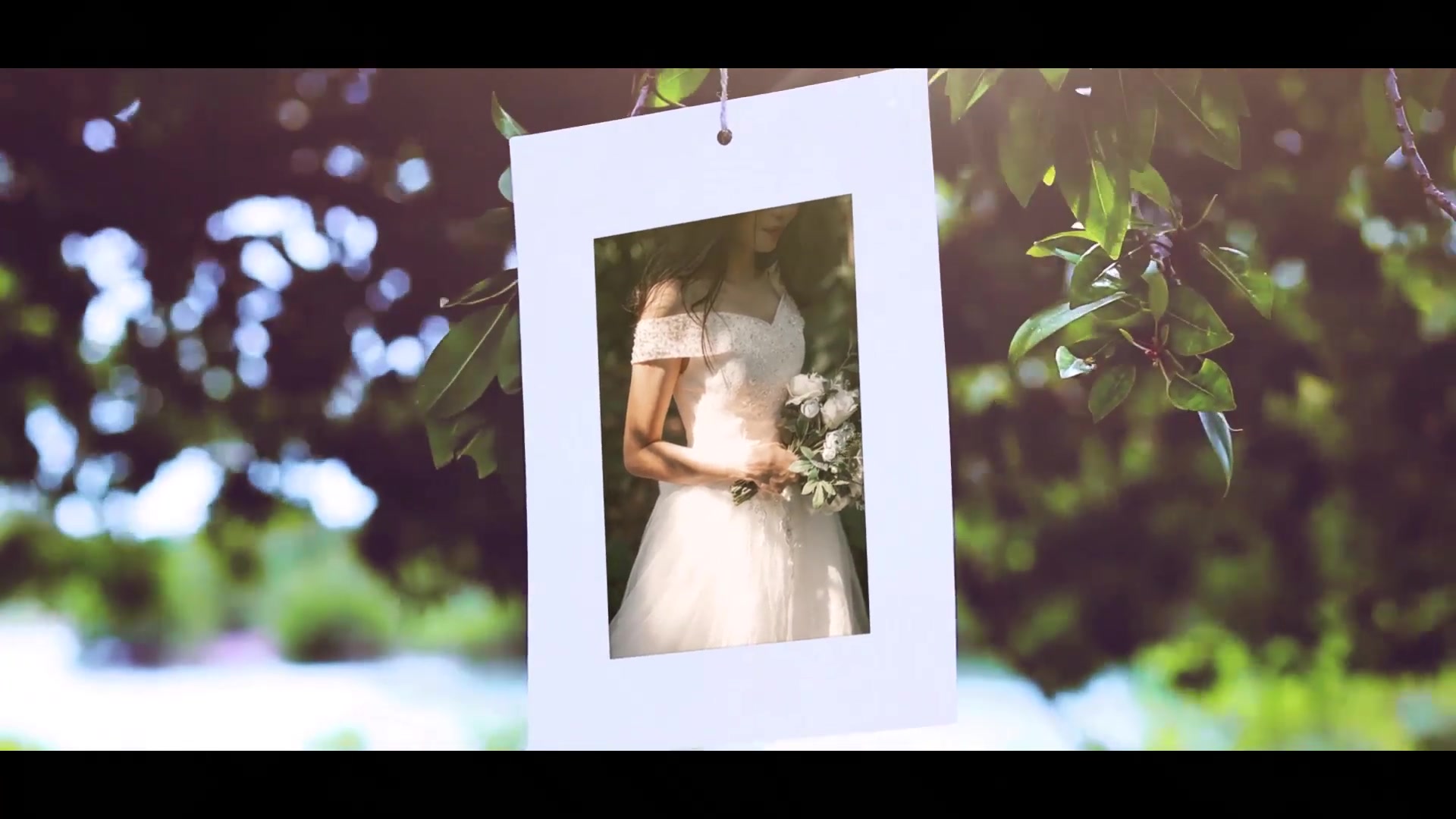 Photo Gallery Under Tree Videohive 31647671 After Effects Image 9