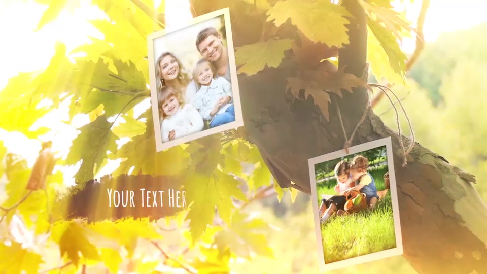 Photo Gallery Videohive 19104088 After Effects Image 2