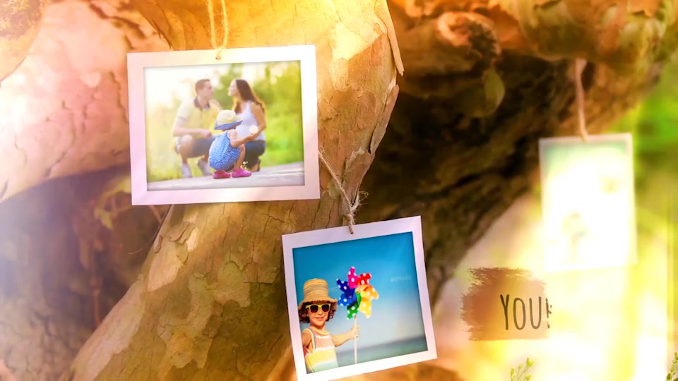 Photo Gallery Videohive 19104088 After Effects Image 4