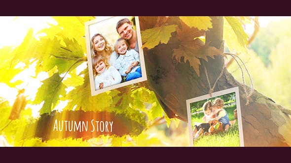 Photo Gallery - Videohive 19104088 Download