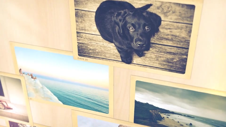 Photo gallery Videohive 10621508 After Effects Image 9