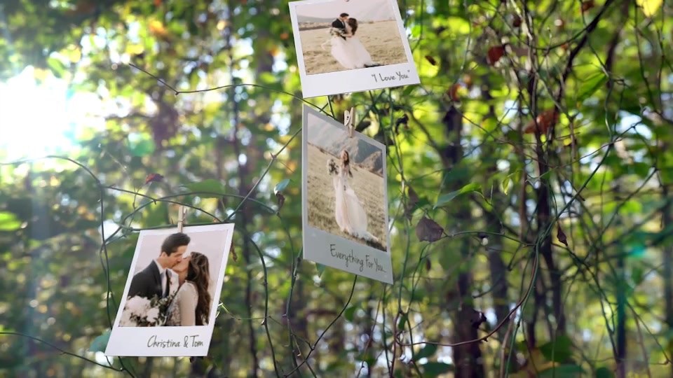 Photo Memories on Trees - Download Videohive 19338045