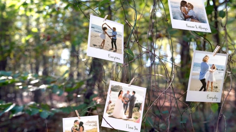 Photo Memories on Trees - Download Videohive 19338045