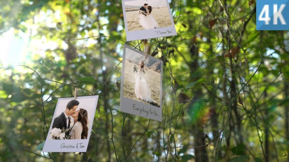 Photo Memories on Trees - Download Videohive 19338045