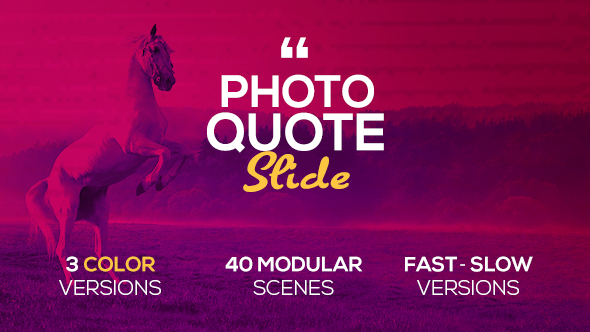 Photo Quote Slide - Download Videohive 19687833