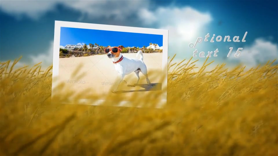 Photo Slideshow Butterfly Field Videohive 9359232 After Effects Image 9