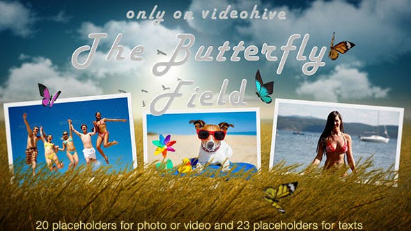 Photo Slideshow Butterfly Field - Download 9359232 Videohive