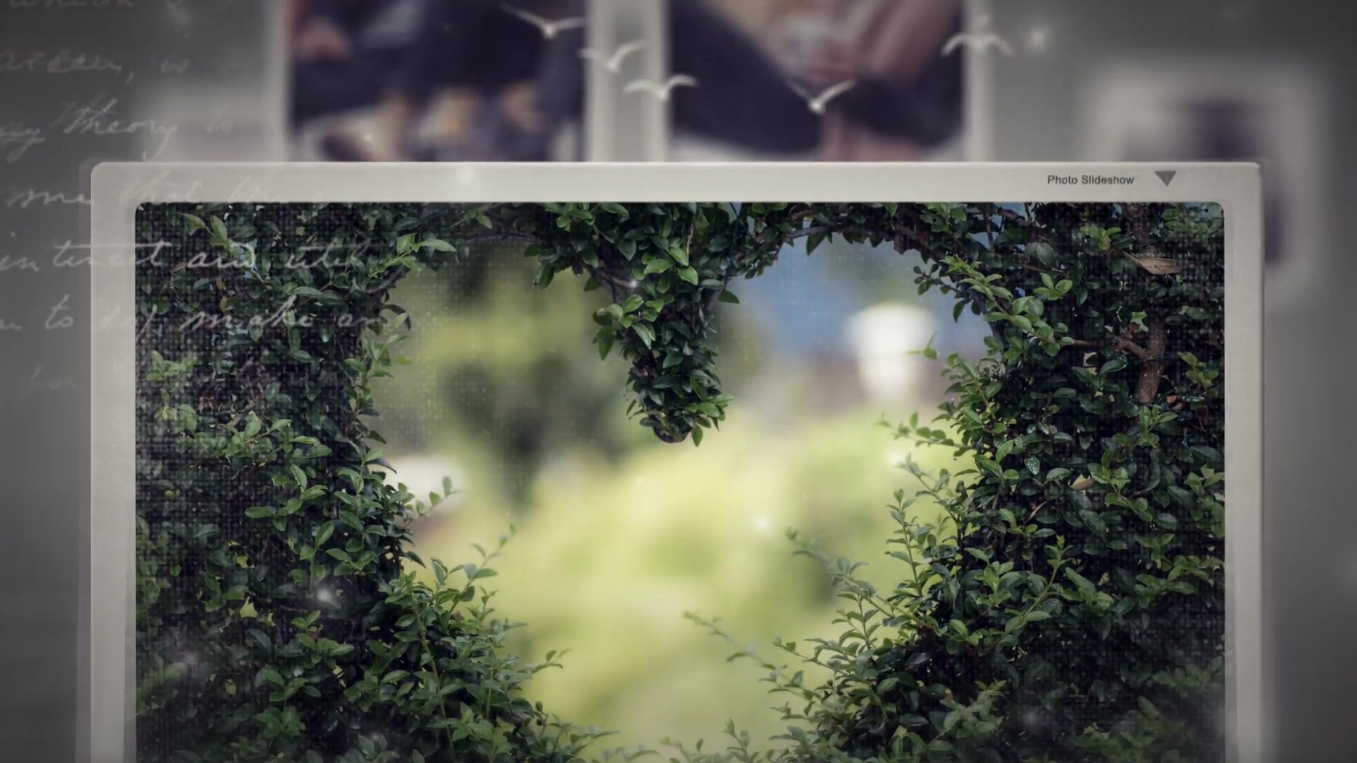 Photo Slideshow / Memories of Moments Videohive 22459401 After Effects Image 12