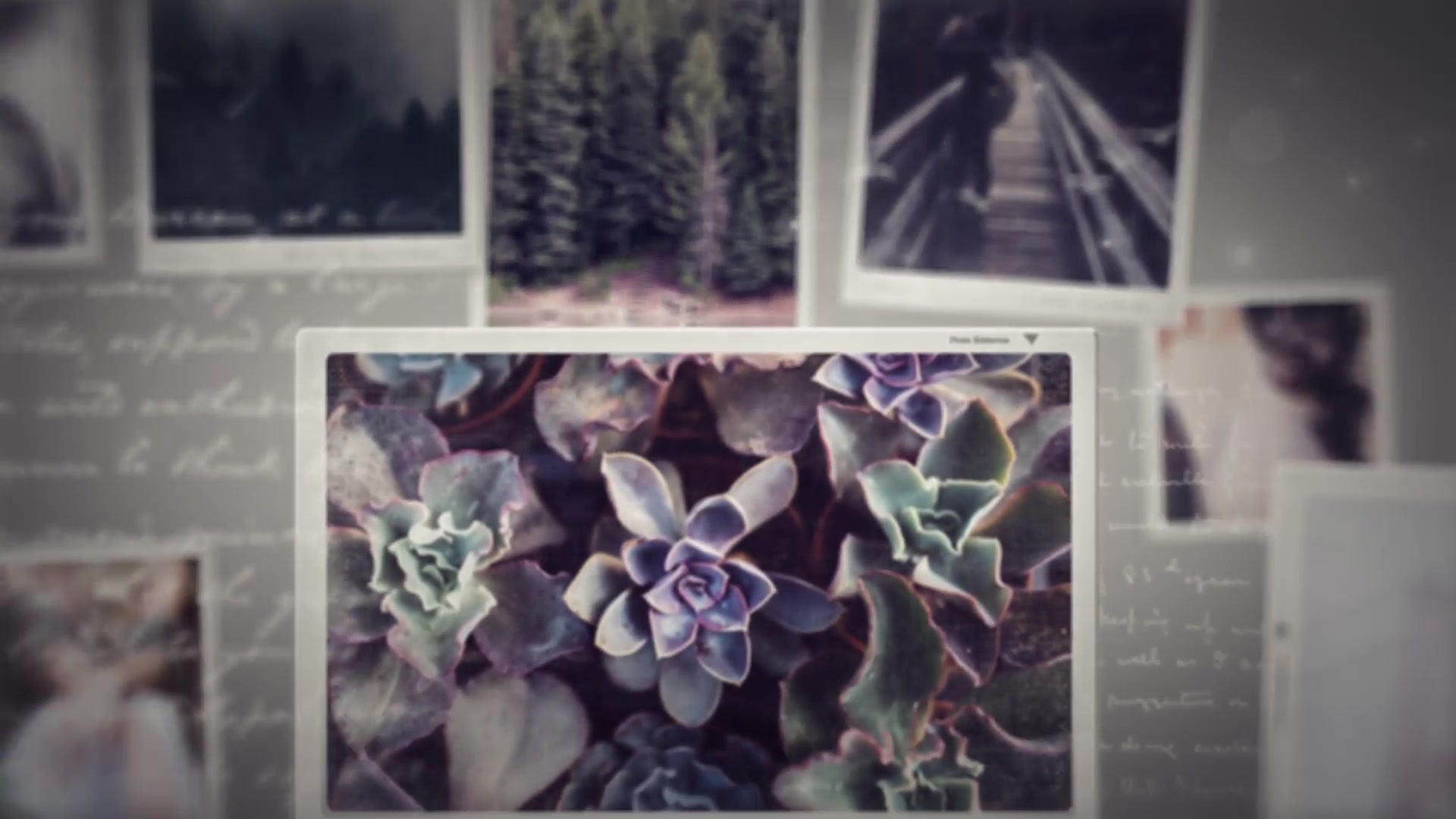 Photo Slideshow / Memories of Moments Videohive 22459401 After Effects Image 6