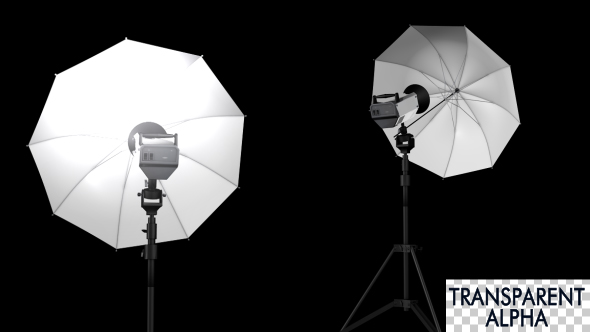 Photo Studio Flash Lighting - Download Videohive 19220599