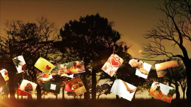 Photo Tree - Download Videohive 6872917