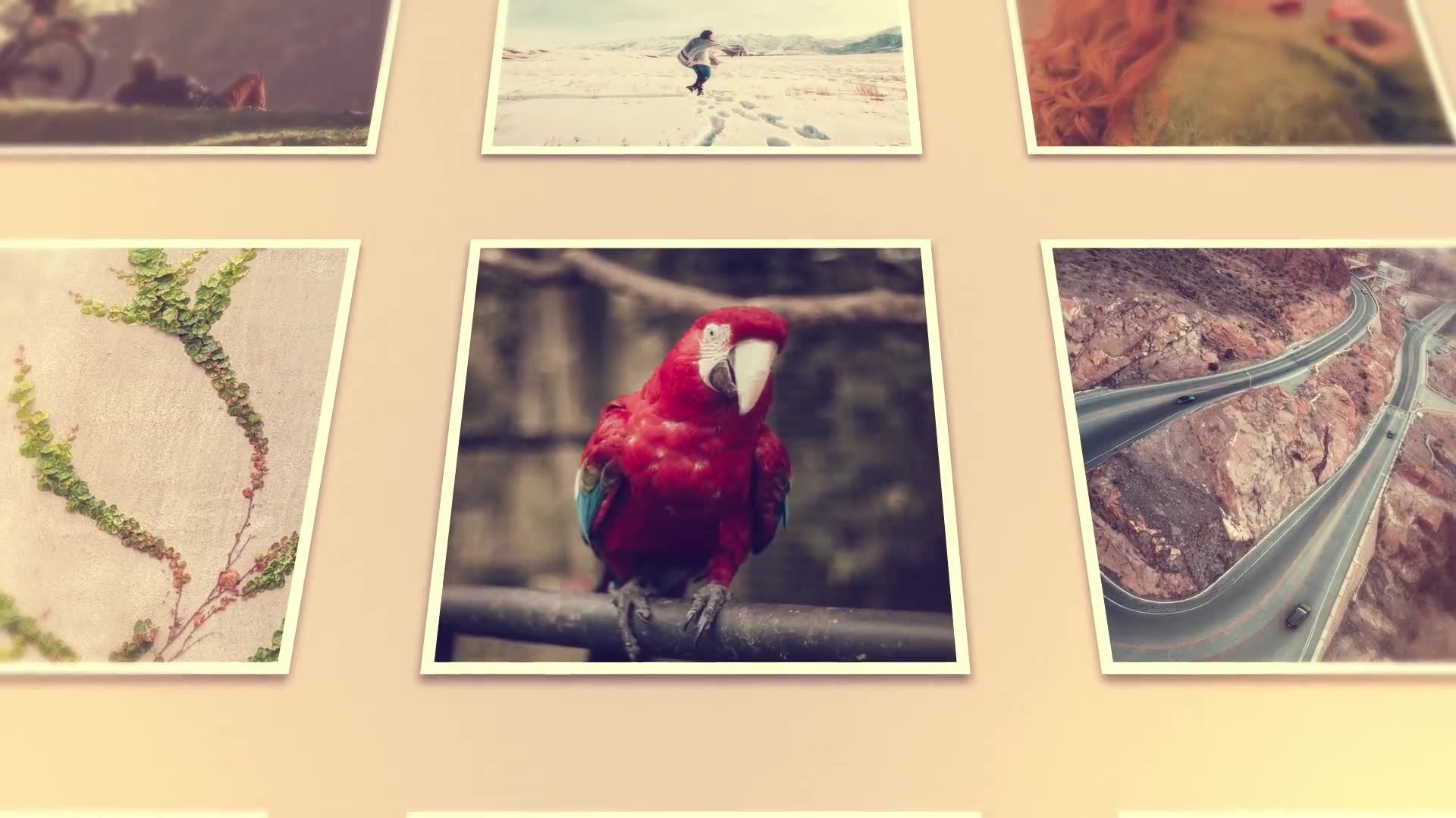 Photo Wall Gallery Videohive 14479410 After Effects Image 3