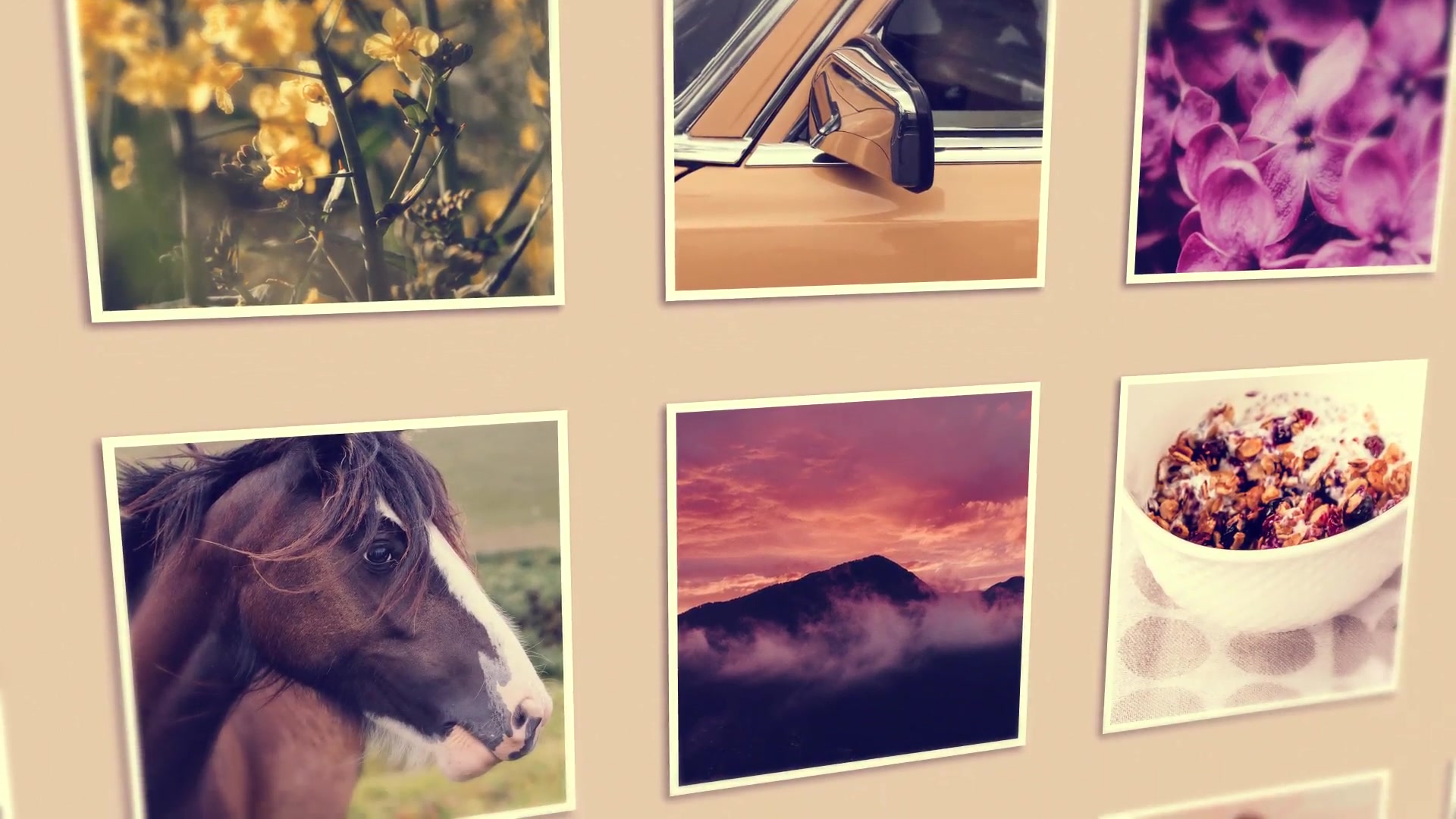 Photo Wall Gallery Videohive 14479410 After Effects Image 5
