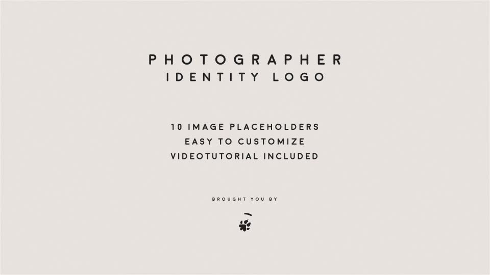 Photographer Identity Logo Videohive 20234447 After Effects Image 1