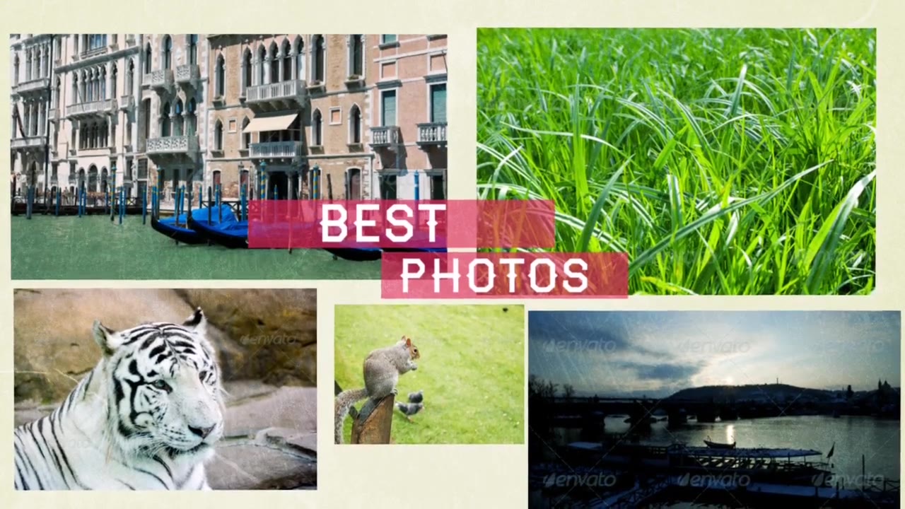 Photographer Portfolio Videohive 6555174 After Effects Image 3