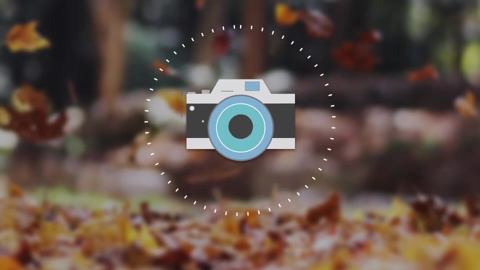 Photographers Logo Reveal Videohive 11970032 After Effects Image 8