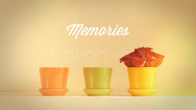Photographs and Memories Bloom - Download Videohive 4974510
