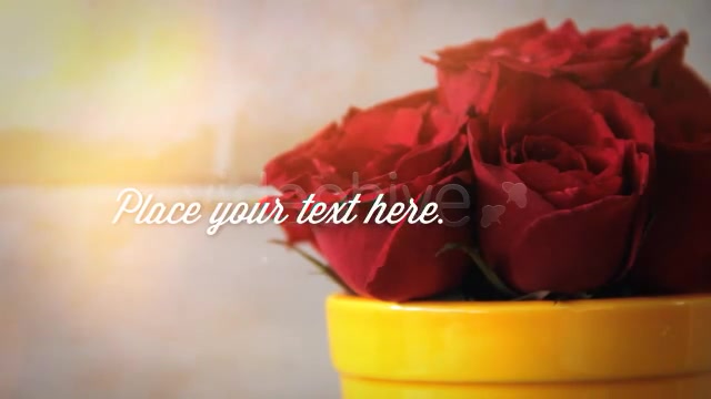 Photographs and Memories Bloom - Download Videohive 4974510