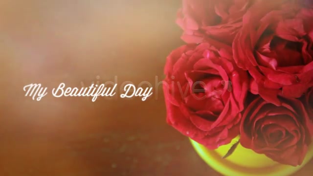 Photographs and Memories Bloom - Download Videohive 4974510