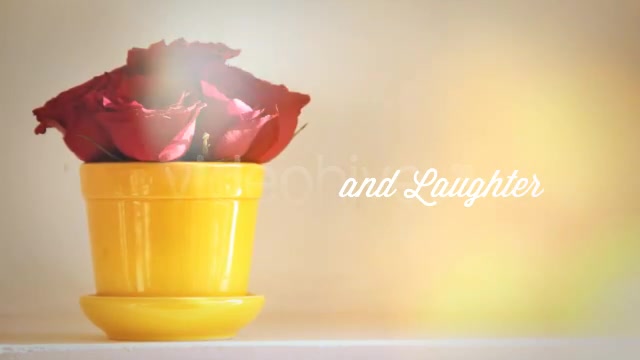 Photographs and Memories Bloom - Download Videohive 4974510