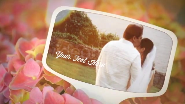 Photographs and Memories Bloom - Download Videohive 4974510