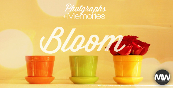 Photographs and Memories Bloom - Download Videohive 4974510