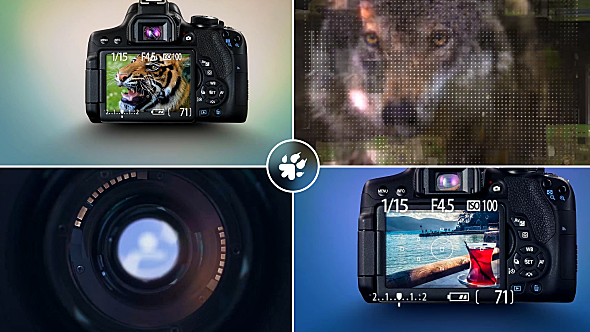 Photography Captures Logo - Download Videohive 18039639