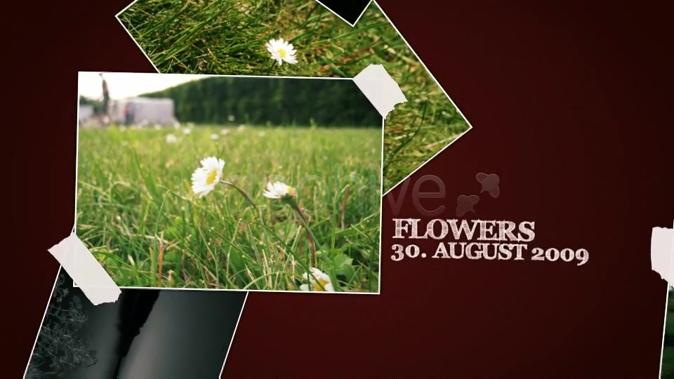 PhotoHeart AE CS4 Project - Download Videohive 77220