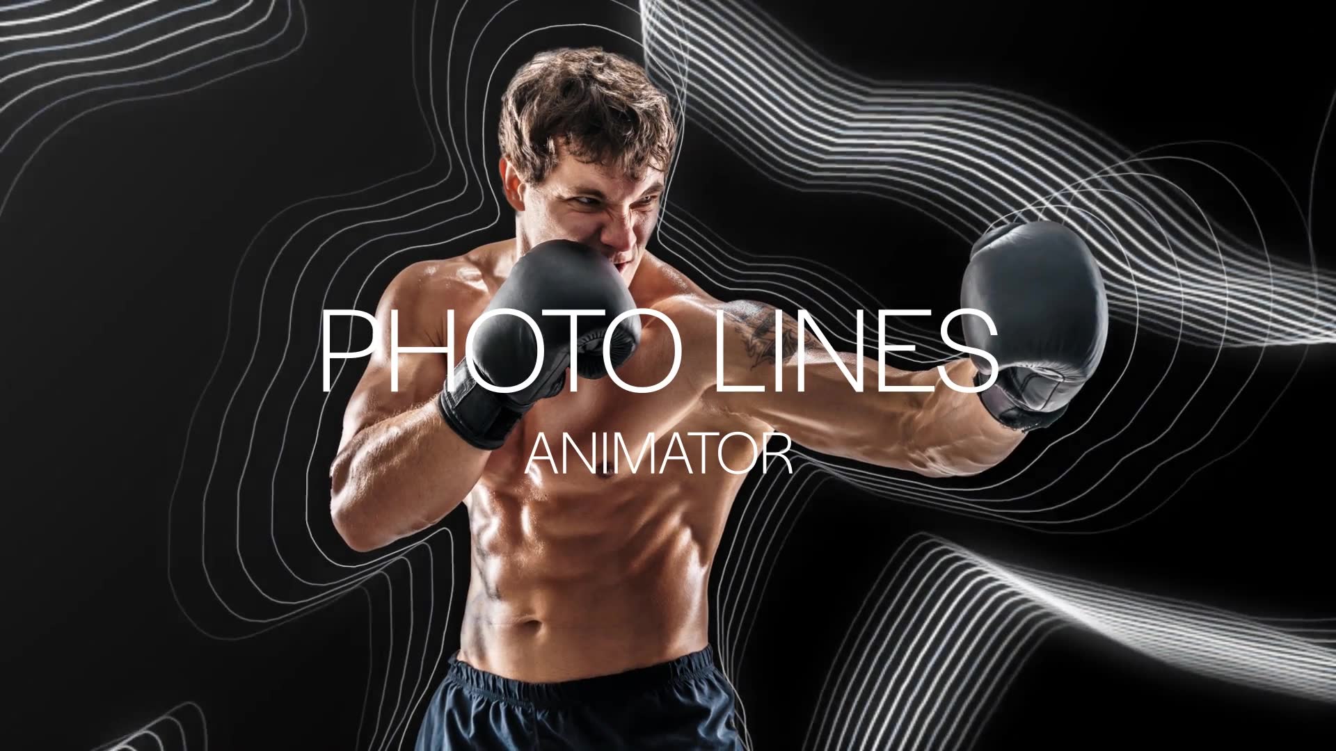 PhotoLines Animator for Premiere Pro Videohive 37459094 Premiere Pro Image 3