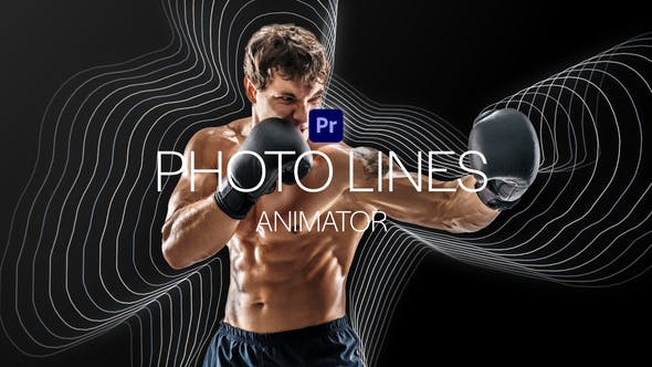 PhotoLines Animator for Premiere Pro - Videohive Download 37459094