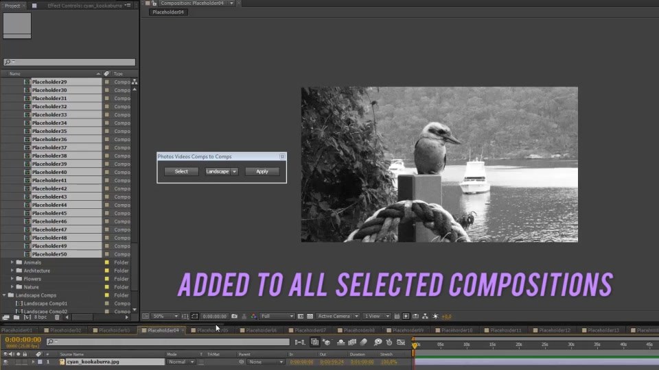 Photos Videos Comps To Comps - Download Videohive 9557650