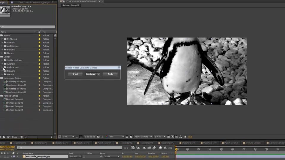 Photos Videos Comps To Comps - Download Videohive 9557650