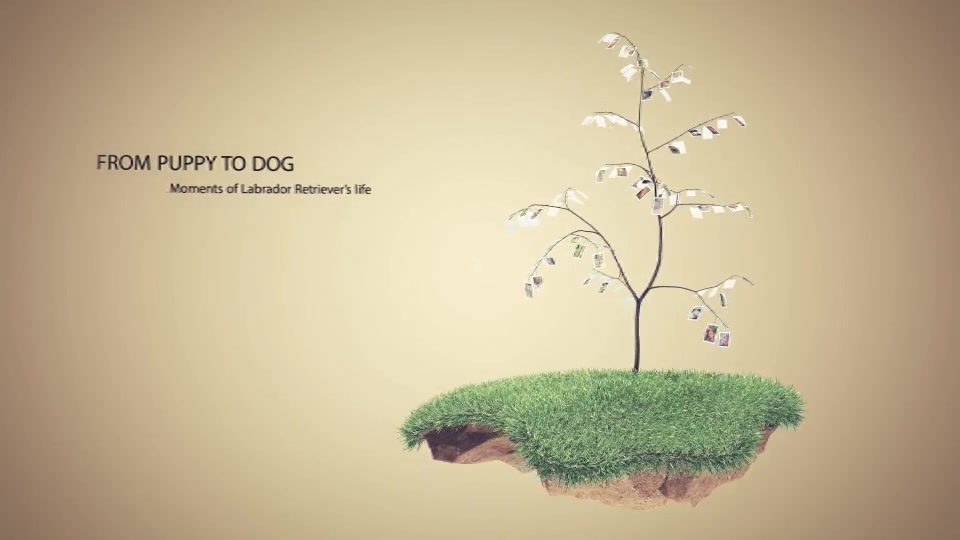 Picture Tree Photo Gallery - Download Videohive 6272860