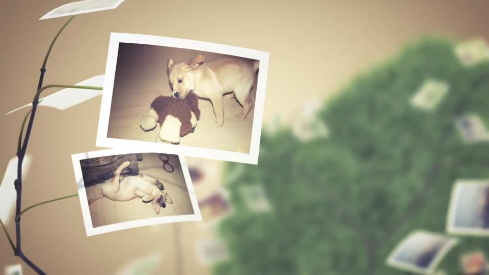 Picture Tree Photo Gallery - Download Videohive 6272860