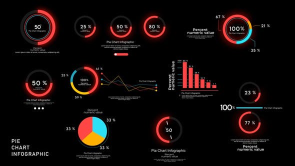 Pie Chart Infographics - Download Videohive 37941076
