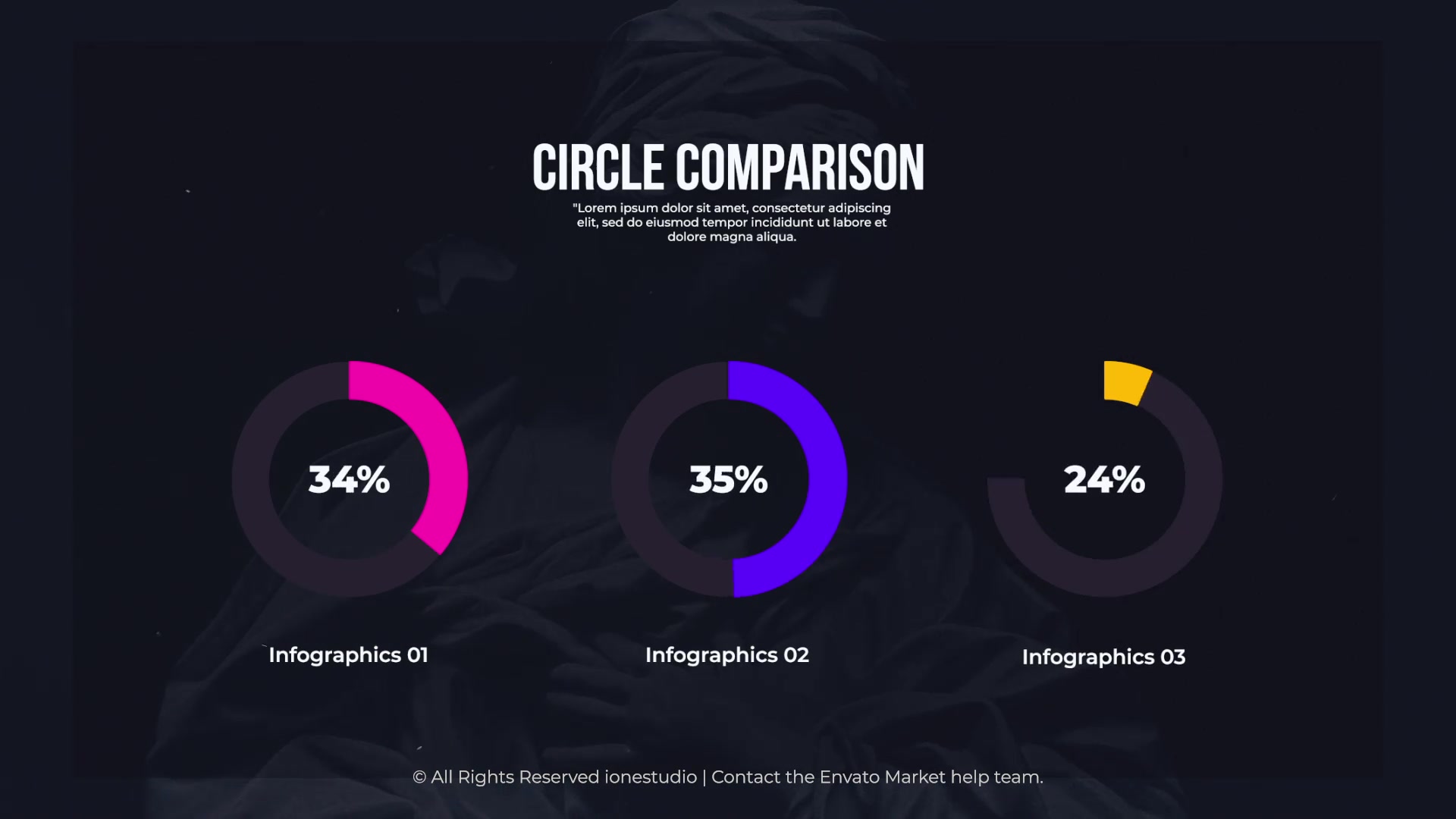 Pie Charts Videohive 39802281 After Effects Image 5