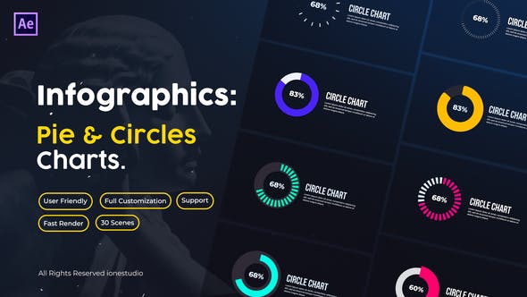 Pie Charts - Videohive 39802281 Download