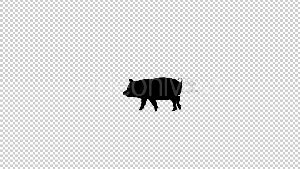 Pig Walk Silhouette - Download Videohive 20474833
