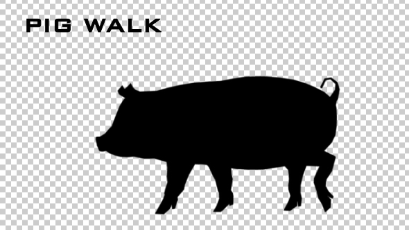 Pig Walk Silhouette - Download Videohive 20474833