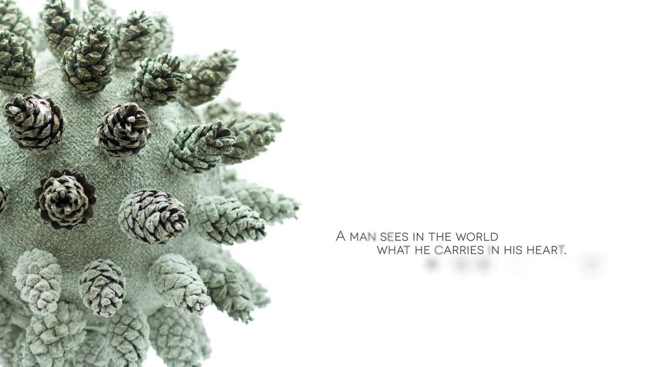 Pine Cones Videohive 21073916 After Effects Image 7