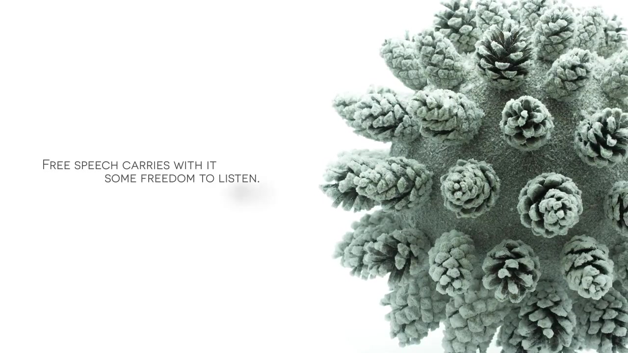 Pine Cones Videohive 21073916 After Effects Image 9