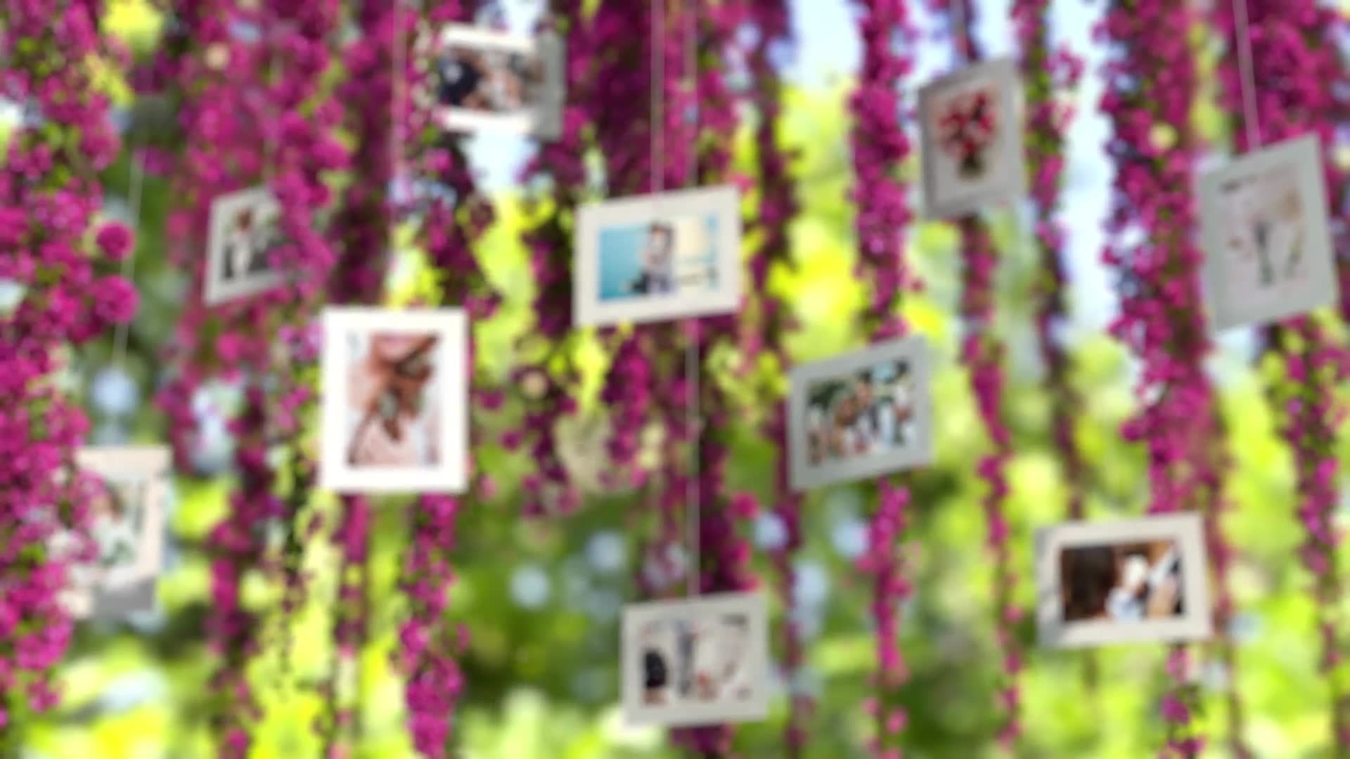 Pink Flowers Wedding Slideshow Videohive 24535054 After Effects Image 12