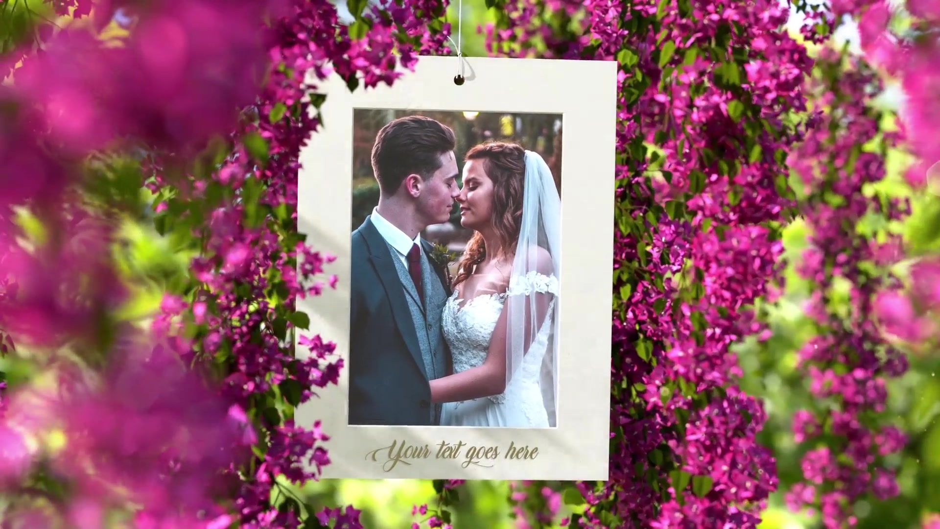 Pink Flowers Wedding Slideshow Videohive 24535054 After Effects Image 6