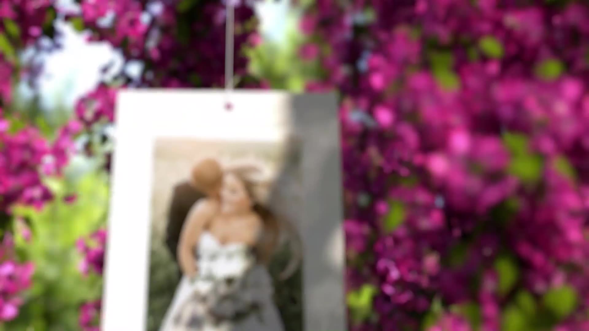 Pink Flowers Wedding Slideshow Videohive 24535054 After Effects Image 7